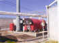 4MW coal boiler for greenhouse system